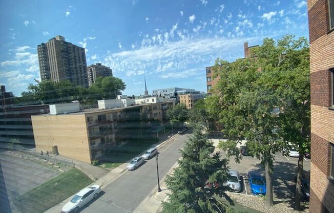 1 bed, 1 bath, 486 sqft, $1,115, Unit 316-805