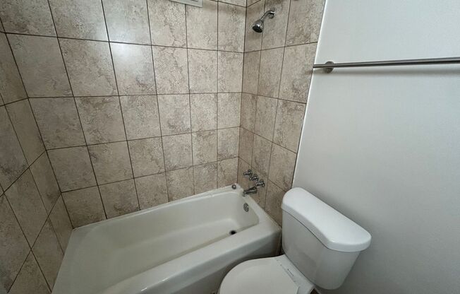 Studio, 1 bath, $875, Unit 206