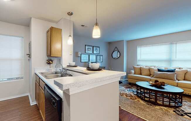 a kitchen and living room with a couch and a sink