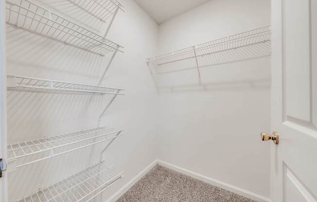 A white pantry with a door and a carpeted floor.