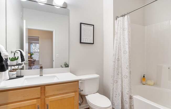 Dominium-Bluffs at Nine Mile Creek-Bathroom