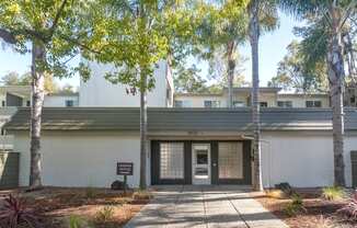 the entrance to a white building with a sidewalk and trees