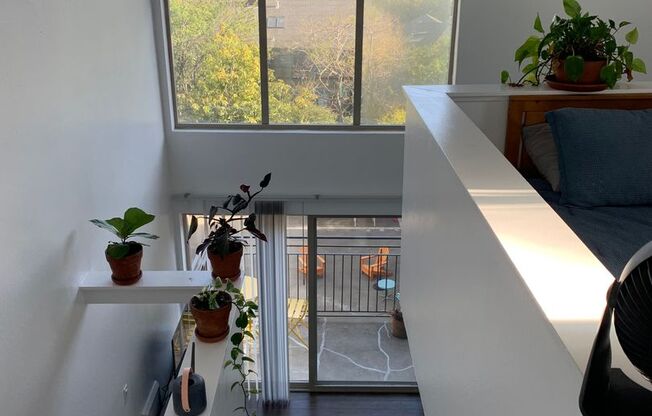 1 bed, 1 bath, 550 sqft, $2,495, Unit 312
