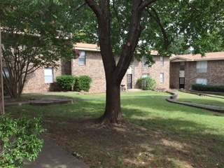 2 beds, 1 bath, 728 sqft, $795, Unit F1