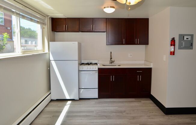 Studio, 1 bath, 400 sqft, $1,135, Unit 203