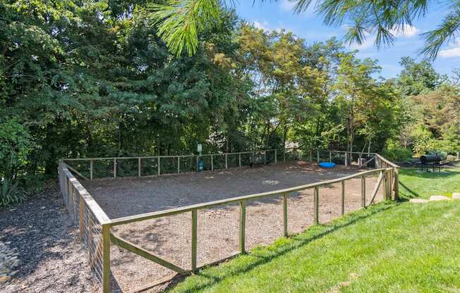 the fenced in backyard of a home with a dog kennel at River Mill Lofts & Skyloft, Asheville North Carolina