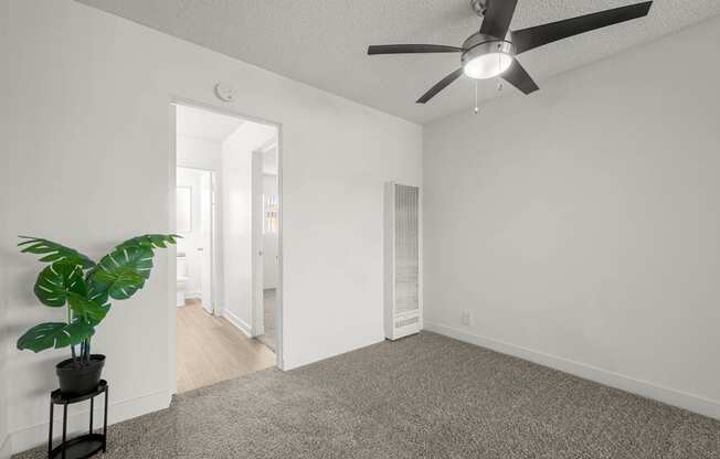 A room with a ceiling fan and a potted plant on a stand.
