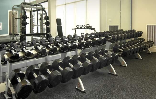 a row of dumbbells in a gym