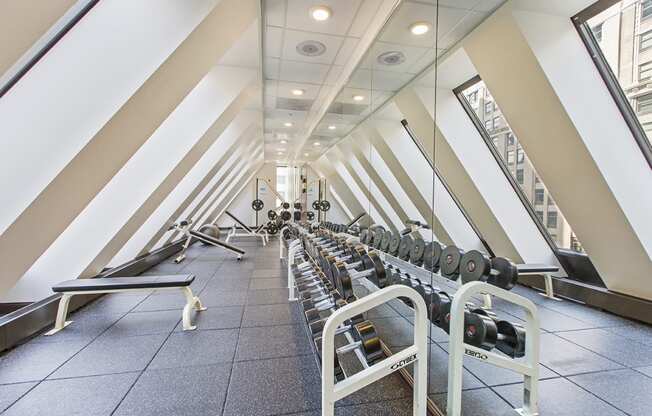 a row of weights and cardio machines in a room with large windows