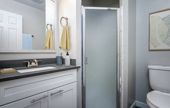 a bathroom with a sink toilet and a shower