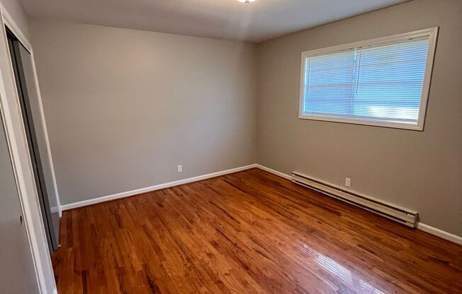 Jonquil Lane 10