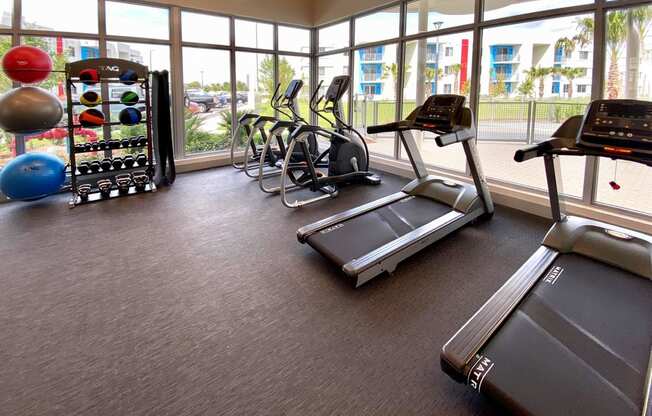 a gym with cardio equipment and windows in a building at Icon One, Florida, 32114