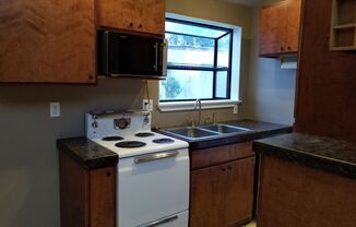 1 bed, 1 bath, $1,100