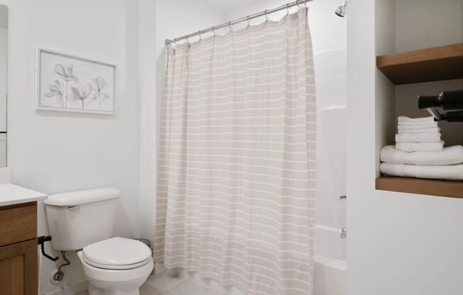 Studio, 1 bath, 411 sqft, $1,250, Unit 411