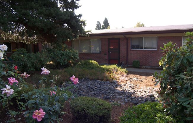 Dolphin Court