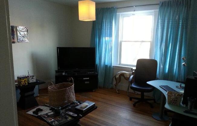 1 bed, 1 bath, $2,400, Unit 7