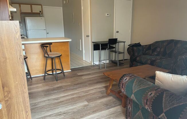 AVAILABLE FALL 2025  - Condo FSU Downtown - Close to Colleges