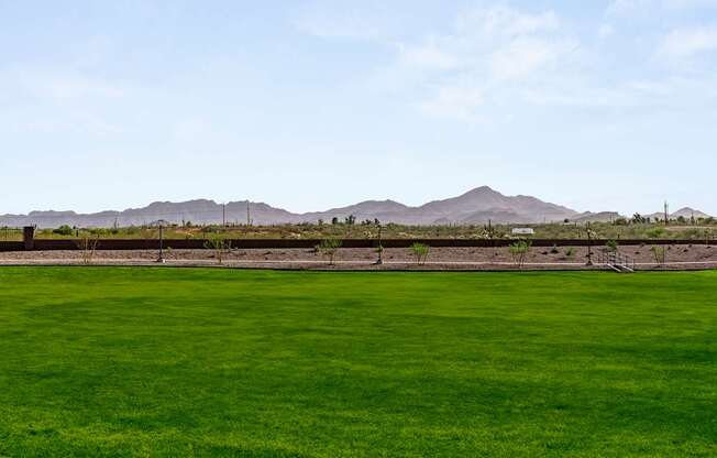 A green field with mountains in the background.