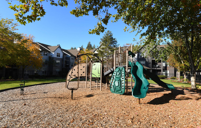 playgrounds at the preserve at polk apartments ga