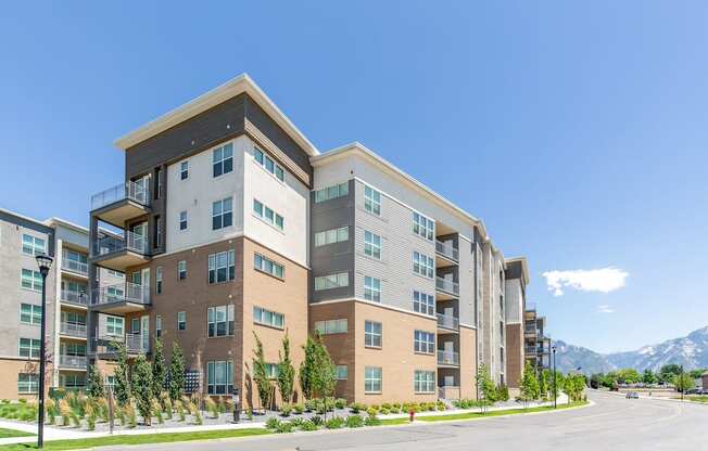 Streets by Arcadia Apartments