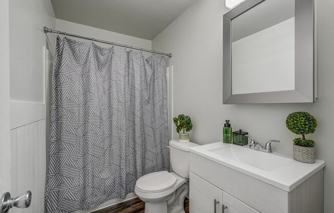 a bathroom with a white sink and toilet and a shower curtain