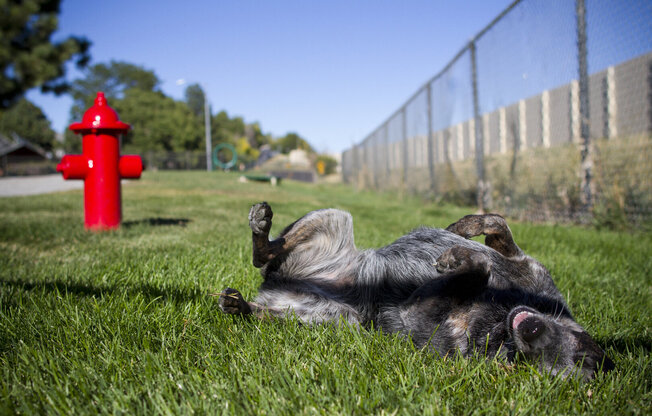 Partner-provided property photo