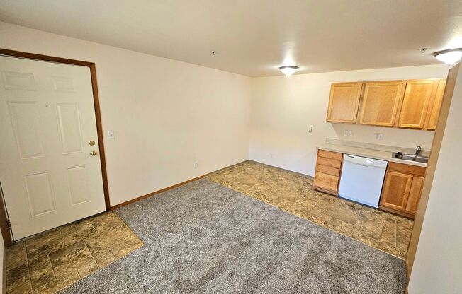 Studio, 1 bath, 450 sqft, $1,075