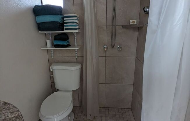 1 bed, 1 bath, $900