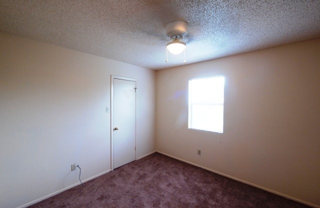 3 beds, 2 baths, $1,200