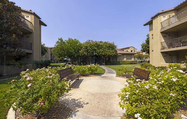 Courtyard benches and roses at 55+ FountainGlen Stevenson Ranch, Stevenson Ranch, CA