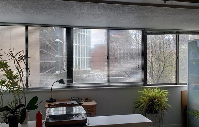 1 bed, 1 bath, 802 sqft, $3,150, Unit 5H