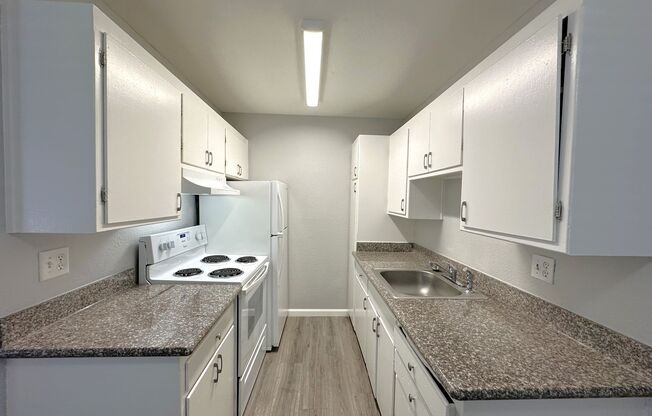 1 bed, 1 bath, 500 sqft, $1,295, Unit 443-124