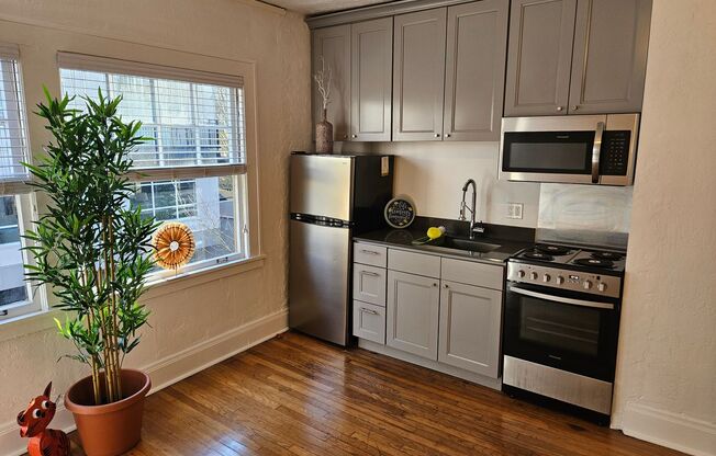 Studio, 1 bath, 337 sqft, $1,179, Unit 23