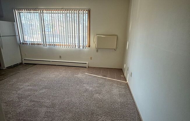 Studio, 1 bath, 300 sqft, $550, Unit 11