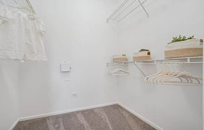 A white closet with a carpeted floor and a white wall.