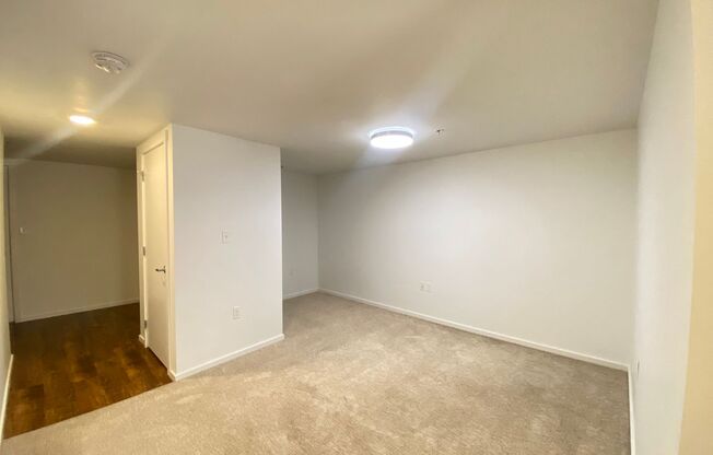 Studio, 1 bath, 170 sqft, $2,095, Unit 1204-A