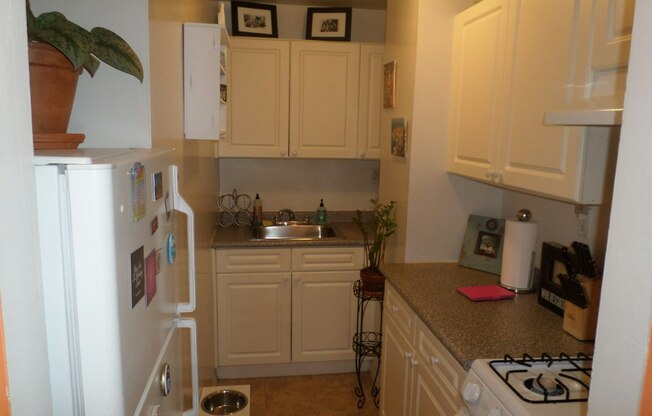 Studio, 1 bath, 465 sqft, $2,500, Unit 4E