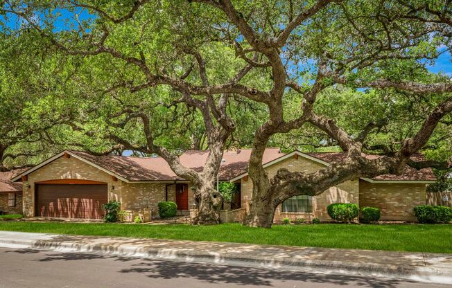 GORGEOUS OAK FOREST SINGLE-STORY HOME