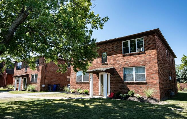 Big Tree Apartments