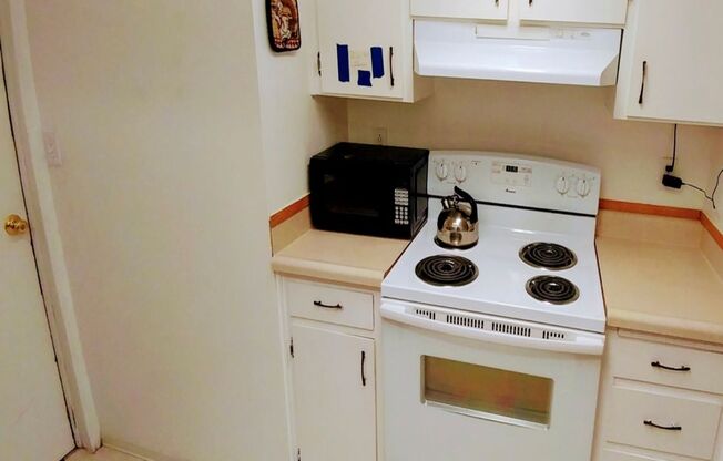 Studio, 1 bath, 300 sqft, $695, Unit 48