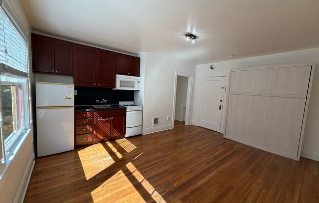Studio, 1 bath, 308 sqft, $1,099, Unit 16
