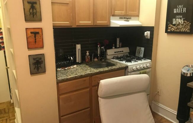 Studio, 1 bath, 225 sqft, $1,015