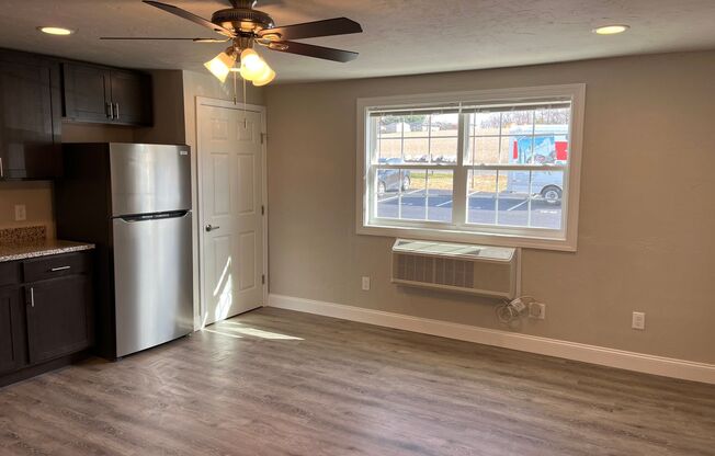 1 bed, 1 bath, 500 sqft, $925