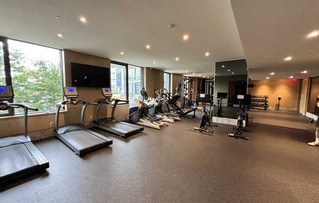 1 bed, 1 bath, 591 sqft, $3,900, Unit 202