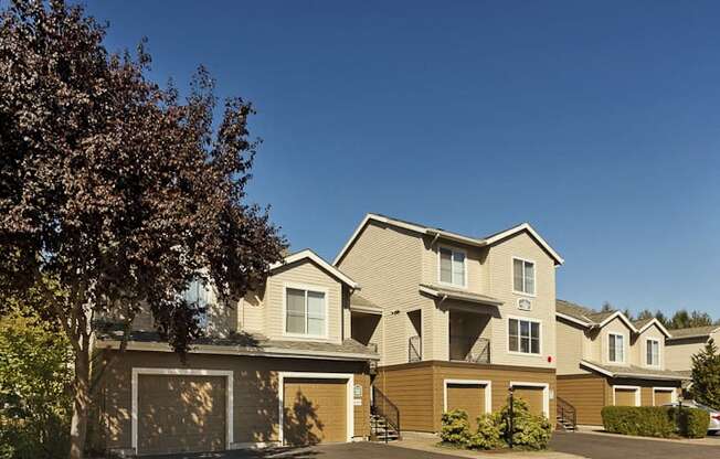 a row of houses with a tree in front of them