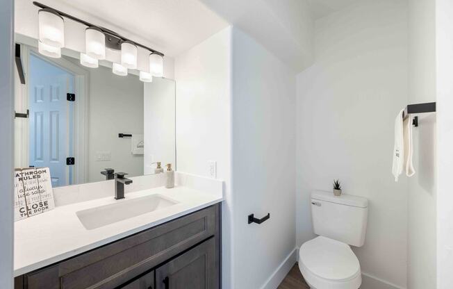 a bathroom with a sink and a toilet and a mirror