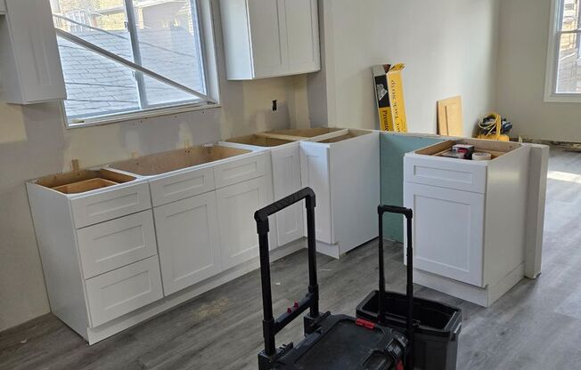 Brand new rehab luxury coach house in Albany Park