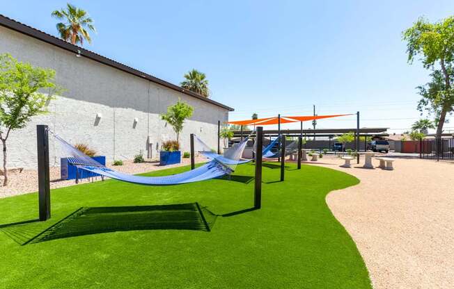 A playground with a blue hammock and a green hammock.