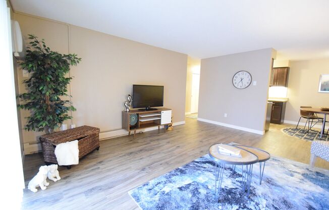 1 bed, 1 bath, 756 sqft, $1,124, Unit 520-309