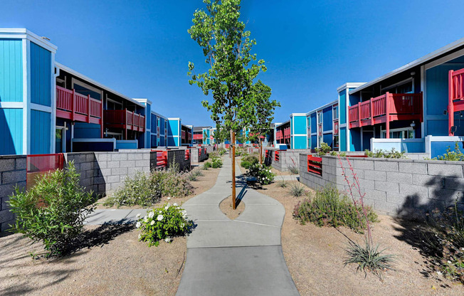 A tree in a courtyard surrounded by buildings.